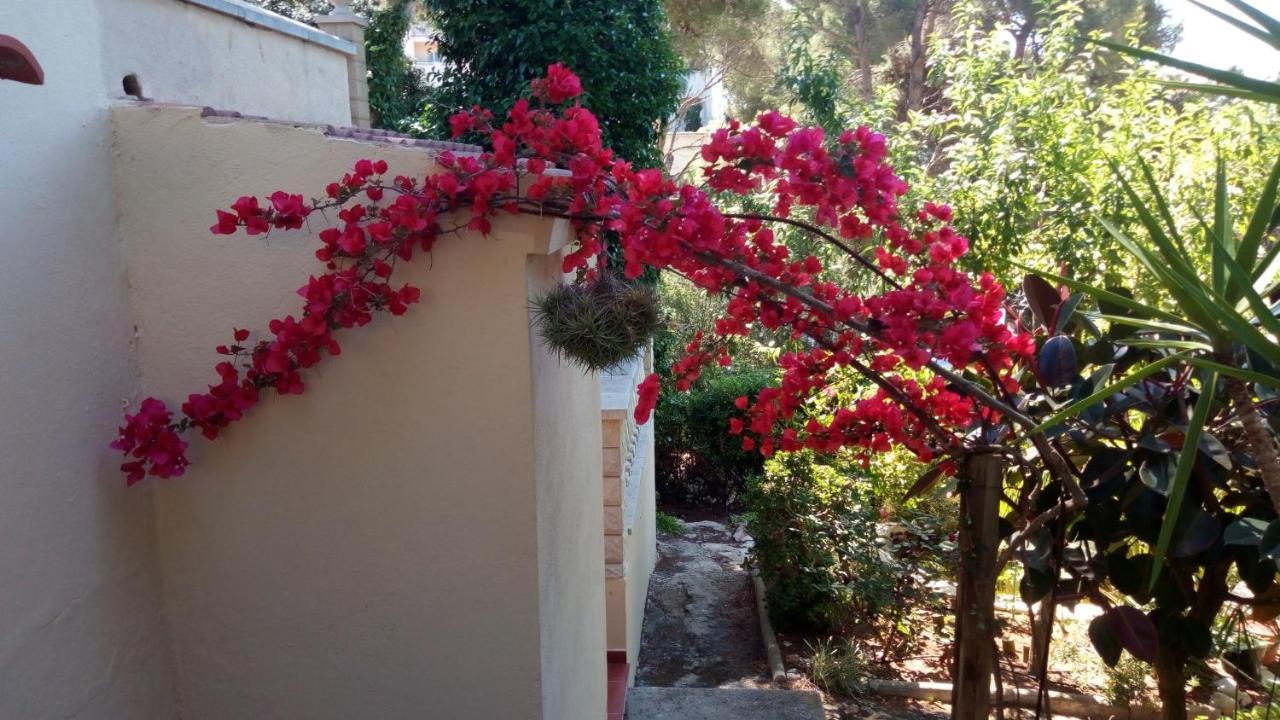 הוילה קאלה גלדנה Casa Montse מראה חיצוני תמונה